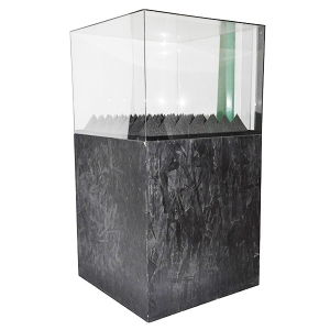 acrylic art display case